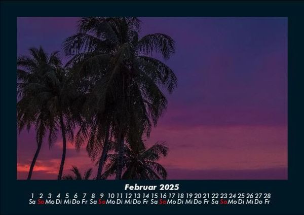 Produktbild: Palmen 2025 Fotokalender DIN A5