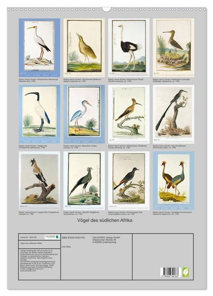 Produktbild: V&ouml;gel des s&uuml;dlichen Afrika (Wandkalender 2026 DIN A2 hoch), CALVENDO Monatskalender