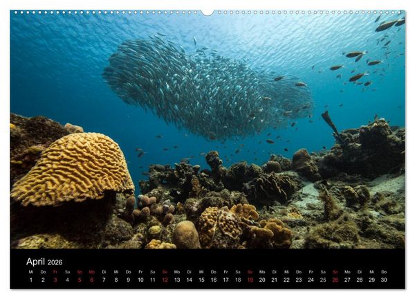Produktbild: Tanz der Fische (hochwertiger Premium Wandkalender 2026 DIN A2 quer), Kunstdruck in Hochglanz