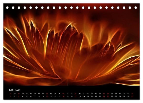 Produktbild: Floral Abstrakt 2026 (Tischkalender 2026 DIN A5 quer), CALVENDO Monatskalender