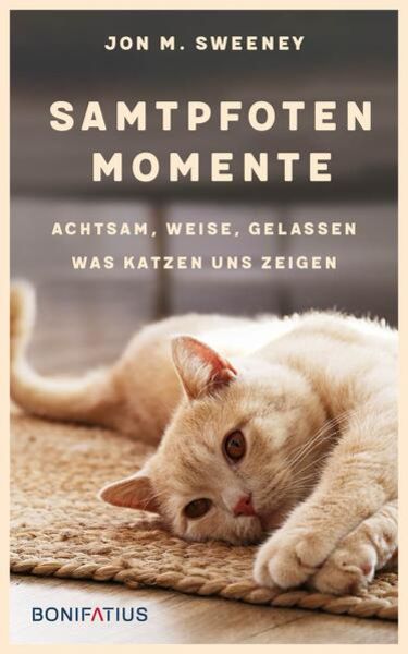 Samtpfotenmomente, Gebundene Ausgabe von Jon M. Sweeney, Bonifatius Verlag, 9783987900341
