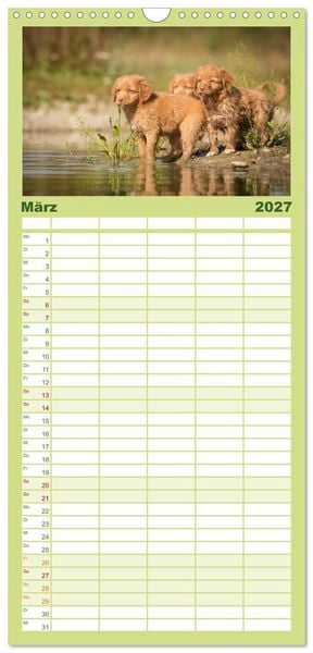 Produktbild: Familienplaner 2027 - Toller - Nova Scotia Duck Tolling Retriever mit 5 Spalten (Wandkalender, 21 x 45 cm) CALVENDO