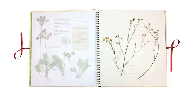 Produktbild: Auf der Hummelwiese &ndash; Das gro&szlig;e Herbarium
