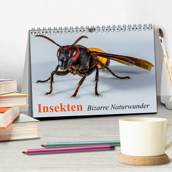 Produktbild: Insekten &bull; Bizarre Naturwunder (Tischkalender 2026 DIN A5 quer), CALVENDO Monatskalender