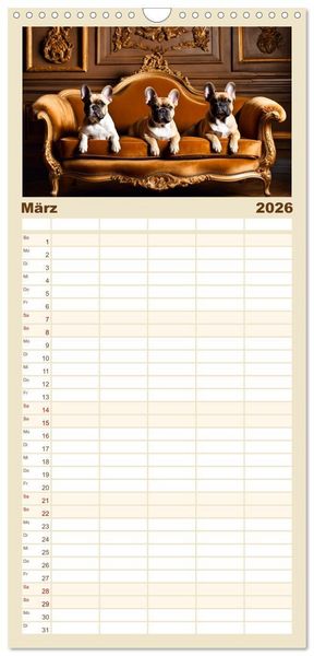 Produktbild: Familienplaner 2026 - Kleine K&ouml;nige - Franz&ouml;sische Bulldoggen mit 5 Spalten (Wandkalender, 21 x 45 cm) CALVENDO