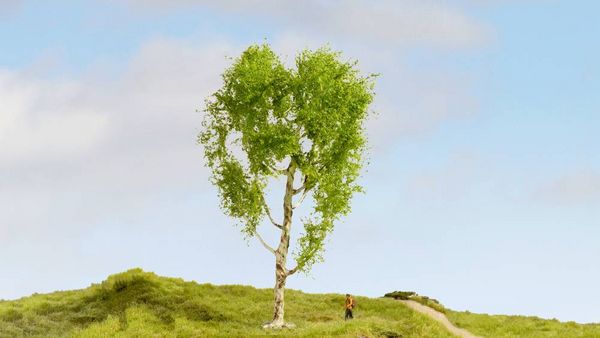 Produktbild: NOCH 20125 Baum Moorbirke 210mm 1St.