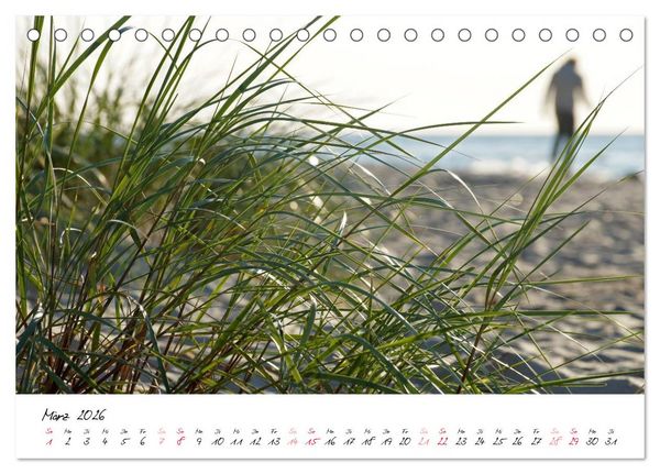 Produktbild: Ostsee-Strand (Tischkalender 2026 DIN A5 quer), CALVENDO Monatskalender