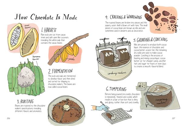 Produktbild: Food Anatomy