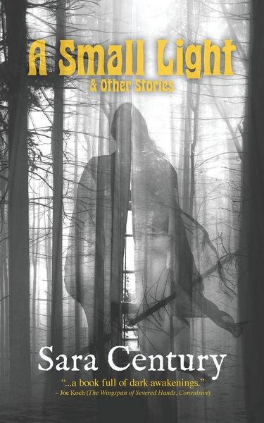 Produktbild: A Small Light & Other Stories