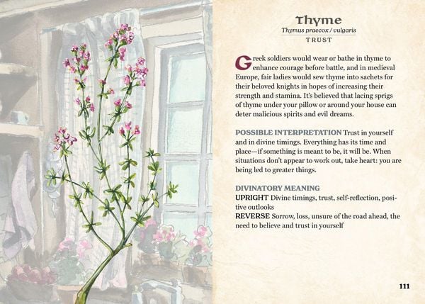 Produktbild: Herbalist's Oracle