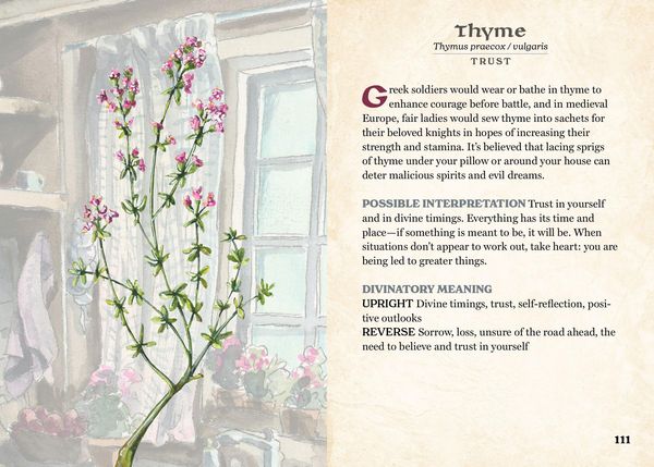 Produktbild: The Herbalist's Oracle