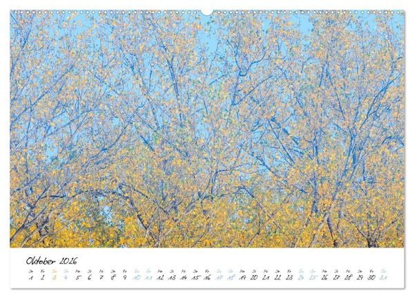 Produktbild: In der Welt der B&auml;ume (hochwertiger Premium Wandkalender 2026 DIN A2 quer), Kunstdruck in Hochglanz