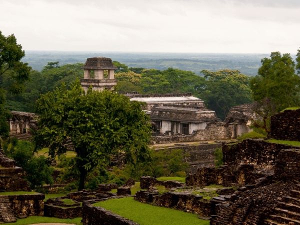 Produktbild: CALVENDO Puzzle Palenque, Tempel im Regenwald | 1000 Teile Lege-Gr&ouml;&szlig;e 64x48cm Foto-Puzzle f&uuml;r gl&uuml;ckliche Stunden
