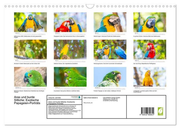 Produktbild: Aras und bunte Sittiche: Exotische Papageien-Portr&auml;ts (Wandkalender 2027 DIN A3 quer), CALVENDO Monatskalender