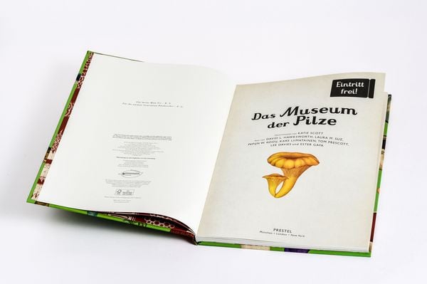Produktbild: Das Museum der Pilze