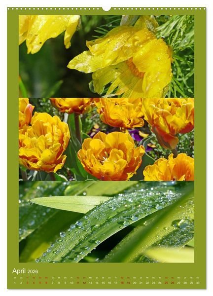 Produktbild: Mein Gartenjahr - Mit der Kamera unterwegs in G&auml;rten und Parkanlagen (Wandkalender 2026 DIN A2 hoch), CALVENDO Monatskalender