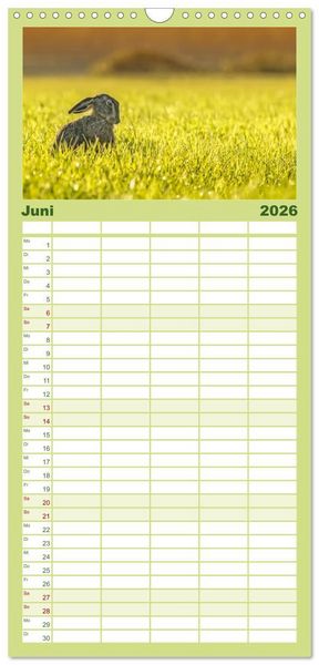 Produktbild: Familienplaner 2026 - Feldhasen und Kaninchen mit 5 Spalten (Wandkalender, 21 x 45 cm) CALVENDO