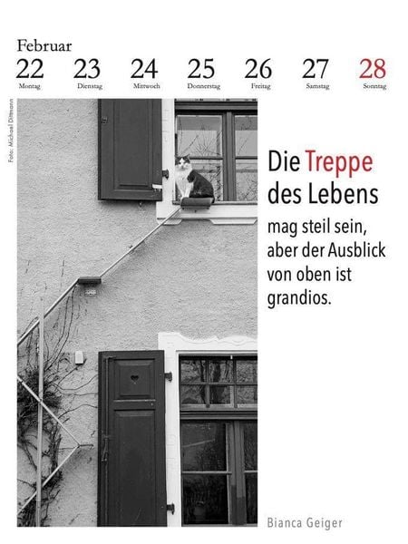 Produktbild: Der literarische Katzenkalender 2027