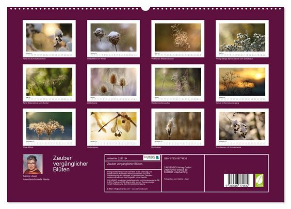 Produktbild: Zauber verg&auml;nglicher Bl&uuml;ten (hochwertiger Premium Wandkalender 2027 DIN A2 quer), Kunstdruck in Hochglanz