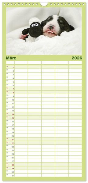 Produktbild: Familienplaner 2026 - Der Bordercollie-Kalender mit 5 Spalten (Wandkalender, 21 x 45 cm) CALVENDO
