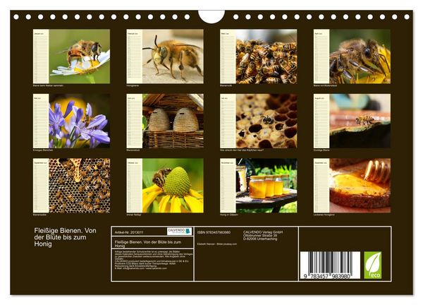 Produktbild: Flei&szlig;ige Bienen. Von der Bl&uuml;te bis zum Honig (Wandkalender 2026 DIN A4 quer), CALVENDO Monatskalender