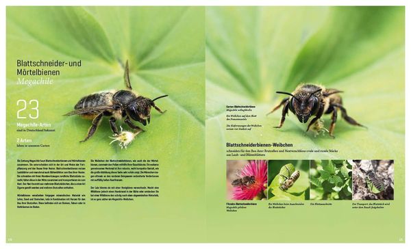 Produktbild: Mein Artenretter Garten
