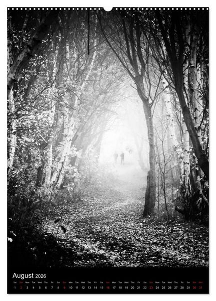 Produktbild: Journeys - Black & White (High Quality Premium Wall Calendar 2026 DIN A2 portrait),CALVENDO 12 Month Wall Calendar