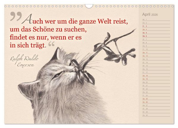 Produktbild: Von Katzen lernen (Wandkalender 2026 DIN A3 quer), CALVENDO Monatskalender