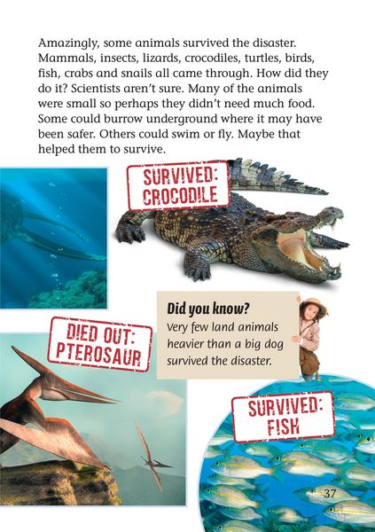 Produktbild: Why did dinosaurs become extinct?