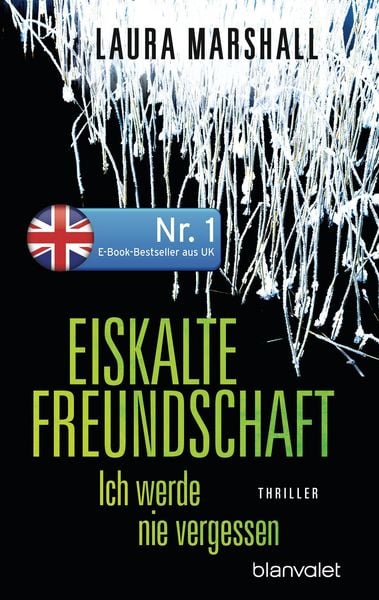 Produktbild: Eiskalte Freundschaft - Ich werde nie vergessen