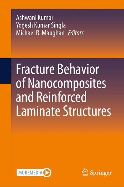 Produktbild: Fracture Behavior of Nanocomposites and Reinforced Laminate Structures