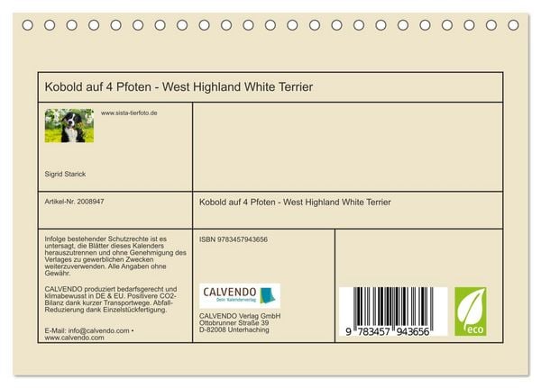 Produktbild: Kobold auf 4 Pfoten - West Highland White Terrier (Tischkalender 2026 DIN A5 quer), CALVENDO Monatskalender