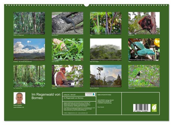 Produktbild: Im Regenwald von Borneo (hochwertiger Premium Wandkalender 2026 DIN A2 quer), Kunstdruck in Hochglanz