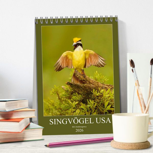 Produktbild: Singv&ouml;gel USA (Tischkalender 2026 DIN A5 hoch), CALVENDO Monatskalender