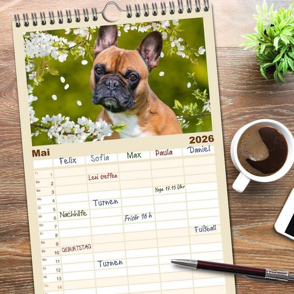 Produktbild: Familienplaner 2026 - Kleine Helden - Franz&ouml;sische Bulldoggen mit 5 Spalten (Wandkalender, 21 x 45 cm) CALVENDO