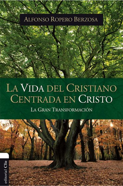 Produktbild: Vida del cristiano centrada en Cristo