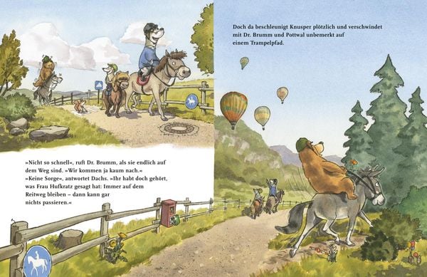 Produktbild: Dr. Brumm: Dr. Brumm auf dem Ponyhof