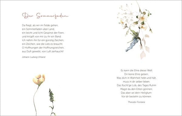 Produktbild: Die sch&ouml;nsten Blumen bl&uuml;hen f&uuml;r die, die sie sehen
