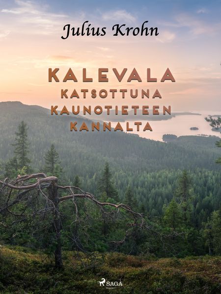 Produktbild: Kalevala katsottuna kaunotieteen kannalta
