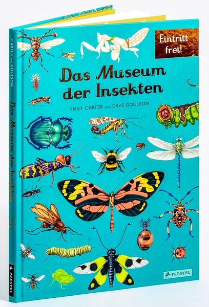 Das Museum der Insekten, Gebundene Ausgabe von Dave Goulson,Emily Carter, Prestel, 978-3-7913-7586-1