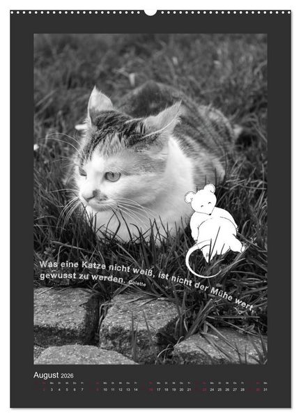 Produktbild: Katz & Maus (Wandkalender 2026 DIN A2 hoch), CALVENDO Monatskalender