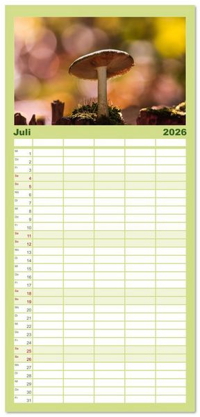 Produktbild: Familienplaner 2026 - Wundersame Pilzwelten mit 5 Spalten (Wandkalender, 21 x 45 cm) CALVENDO