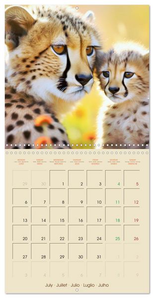 Produktbild: Let's go on Safari - Animal babies in Africa (Wall Calendar 2026 12 &times; 12 Inch) CALVENDO 12 Month Wall Calendar
