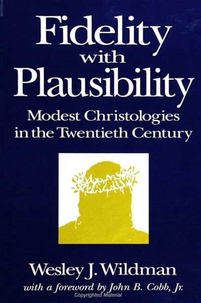 Produktbild: Fidelity with Plausibility