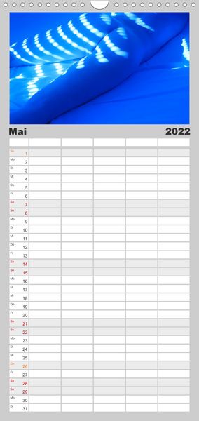 Produktbild: Familienplaner M&Auml;NNER - AKTE ZWISCHEN KRAFT UND SINNLICHKEIT (Wandkalender 2022 , 21 cm x 45 cm, hoch)