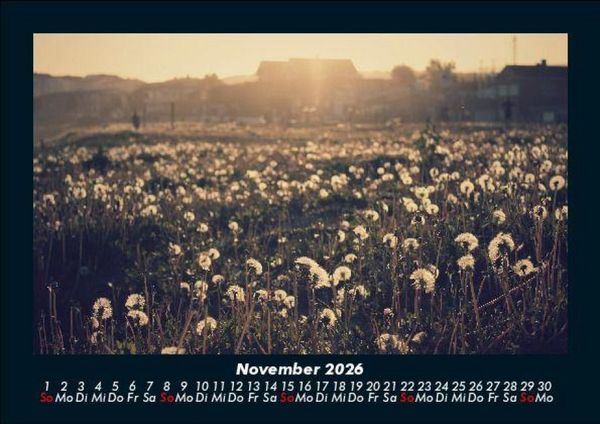Produktbild: Blumenkalender 2026 Fotokalender DIN A5