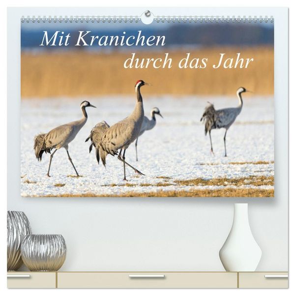 Produktbild: Mit Kranichen durch das Jahr (hochwertiger Premium Wandkalender 2026 DIN A2 quer), Kunstdruck in Hochglanz