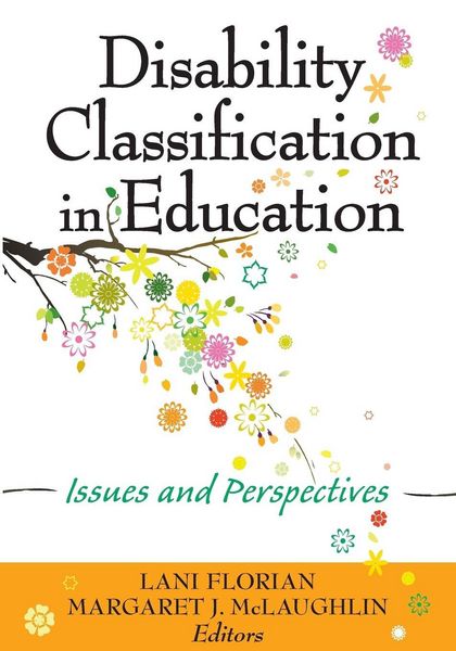 Produktbild: Disability Classification in Education