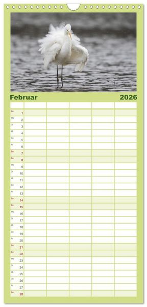 Produktbild: Familienplaner 2026 - Magie Heimische Natur mit 5 Spalten (Wandkalender, 21 x 45 cm) CALVENDO