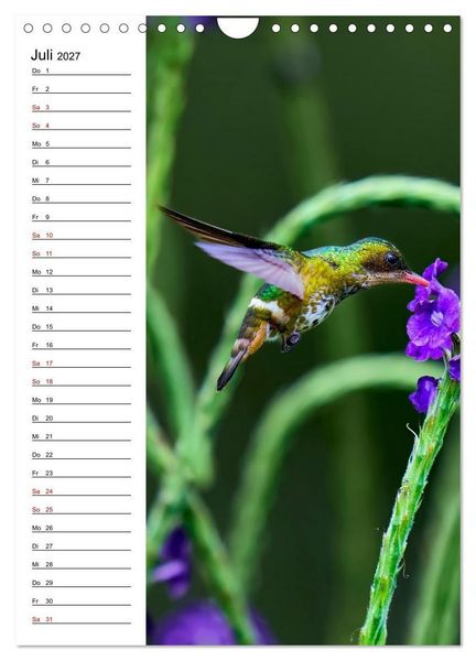 Produktbild: Costa Rica - Magische Tiere des Regenwaldes (Wandkalender 2027 DIN A4 hoch), CALVENDO Monatskalender